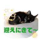 こはむぎげんまいver.2（個別スタンプ：23）