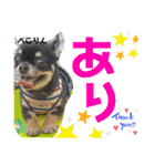 こはむぎげんまいver.2（個別スタンプ：30）