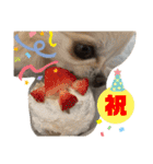 こはむぎげんまいver.2（個別スタンプ：31）