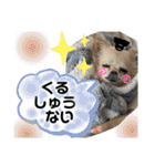 こはむぎげんまいver.2（個別スタンプ：34）