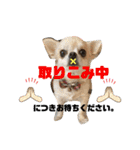 こはむぎげんまいver.2（個別スタンプ：37）