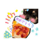 こはむぎげんまいver.2（個別スタンプ：40）