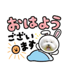 ビションフリーゼ大福  Part③（個別スタンプ：6）