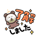 ビションフリーゼ大福  Part③（個別スタンプ：16）