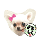 おばけのお千代とお友達（個別スタンプ：15）