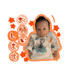 きょうちゃんの日常-はじめまして編（個別スタンプ：13）