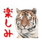 飛び出す！カワウソと動物の仲間たち（個別スタンプ：7）