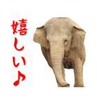 飛び出す！カワウソと動物の仲間たち（個別スタンプ：13）