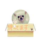 おばけのお千代と義理の姉妹達（個別スタンプ：7）