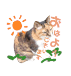 みけねこ暮らし（個別スタンプ：16）