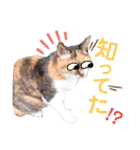 みけねこ暮らし（個別スタンプ：23）