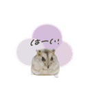 ♡木本様（個別スタンプ：10）