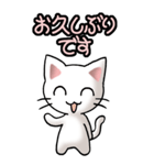 猫ねこにゃんこ その1（白）日常会話（個別スタンプ：3）