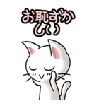 猫ねこにゃんこ その1（白）日常会話（個別スタンプ：6）