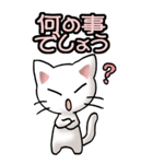 猫ねこにゃんこ その1（白）日常会話（個別スタンプ：11）