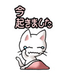 猫ねこにゃんこ その1（白）日常会話（個別スタンプ：13）