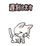 猫ねこにゃんこ その1（白）日常会話（個別スタンプ：15）