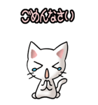 猫ねこにゃんこ その1（白）日常会話（個別スタンプ：16）