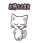 猫ねこにゃんこ その1（白）日常会話（個別スタンプ：20）