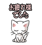 猫ねこにゃんこ その1（白）日常会話（個別スタンプ：24）