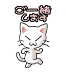 猫ねこにゃんこ その1（白）日常会話（個別スタンプ：25）