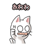 猫ねこにゃんこ その1（白）日常会話（個別スタンプ：32）