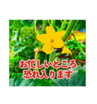 野菜大好き！【日常言葉】（個別スタンプ：18）