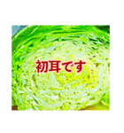 野菜大好き！【日常言葉】（個別スタンプ：36）