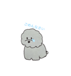 ビションフリーゼのブロンくん イラスト（個別スタンプ：3）