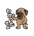 土佐犬ゴロウの日常言葉（個別スタンプ：6）