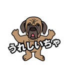 土佐犬ゴロウの日常言葉（個別スタンプ：7）