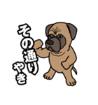 土佐犬ゴロウの日常言葉（個別スタンプ：9）