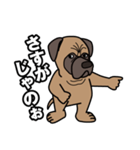 土佐犬ゴロウの日常言葉（個別スタンプ：10）