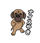 土佐犬ゴロウの日常言葉（個別スタンプ：11）