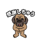 土佐犬ゴロウの日常言葉（個別スタンプ：12）