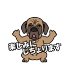 土佐犬ゴロウの日常言葉（個別スタンプ：14）