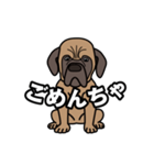 土佐犬ゴロウの日常言葉（個別スタンプ：19）