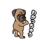 土佐犬ゴロウの日常言葉（個別スタンプ：22）