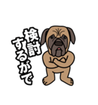 土佐犬ゴロウの日常言葉（個別スタンプ：23）