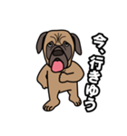 土佐犬ゴロウの日常言葉（個別スタンプ：26）