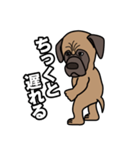 土佐犬ゴロウの日常言葉（個別スタンプ：27）