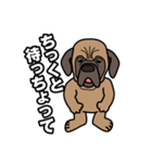 土佐犬ゴロウの日常言葉（個別スタンプ：28）