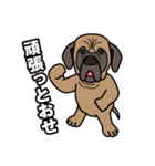 土佐犬ゴロウの日常言葉（個別スタンプ：37）