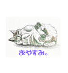 猫、三昧。沢山。います。（個別スタンプ：5）