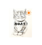 猫、三昧。沢山。います。（個別スタンプ：24）