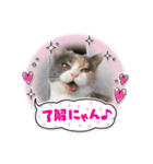 ブリの花組（個別スタンプ：6）
