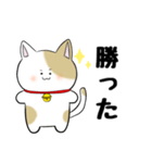 わがまま三毛猫♡（個別スタンプ：31）