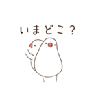 白文鳥さんの気ままな日常（個別スタンプ：16）