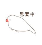 白文鳥さんの気ままな日常（個別スタンプ：19）