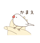 白文鳥さんの気ままな日常（個別スタンプ：27）